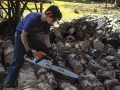 Eli at the firewood pile